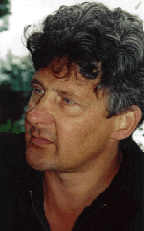 Professor Hans Akkermans